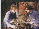 THE UPHOLSTERERS 7