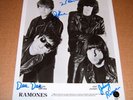 RAMONES - SIGNED 10 x 8 PROMO PHOTO ORIGINAL RARE PUNK