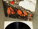 EARTH AND FIRE -MONSTER RARE NEPENTHA LABEL