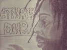 **ULTRA-RARE Wackies: NATURES DUB LP**