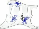KINGS OF LEON SIGNED STRAT GUITAR SCRATCH PLATE W/COA