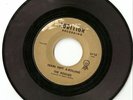 The Rogues - Rochester Garage 45 - Audition 6110 - Rare