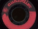 Garage 45  - The Rogues - Audiodisc Acetate unreleased?