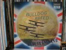 BULLDOG BREED - MADE IN ENGLAND, DERAM, RARE MONO 