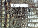 KROKODIL - Swamp - original german LIBERTY LP 1970