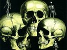 Skull Snaps / Skull SnapsI on GSF