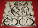 EDEN Rare UK Psych Folk LP PRIVATE PRESS POKORA 3* M-