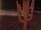 INDIAN SUMMER MEGA-RARE 71 NEON COVENTRY PROGROCK VINYL