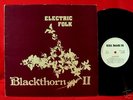 BLACKTHORN RARE UK PRIVATE FOLK PSYCH LP FEMALE VOCALS