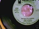 RARE NORTHERN SOUL POP CORN  ..THE ACCENTS......