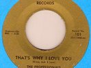 PROFESSIONALS - THATS WHY I LOVE YOU NORTHERN SOUL 45