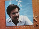 Private Soft Rock LP HOLLAND YOUNG Determination 1982