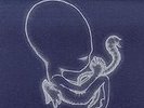 SIGUR ROS - AGAETIS BYRJUN (2LP Vinyl)