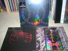 3x TOOL LATERALUS PIC DISC + OPIATE UNDERTOW LP Salival