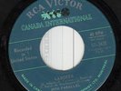 RARE CANADIAN 45 49th PARALLEL LABORER GARAGE PUNK