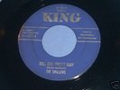 THE SWALLOWS - ROLL ROLL PRETTY BABY -RARE KING 45-4515