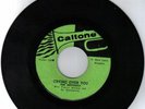 ROOTS  ROCKERS  REGGAE  by       THE   HEPTONES