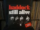 HADDOCK- STILL ALIVE-  ACOUSTIC FOLK-  PRIVAT PRESS.