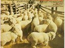 SLIM DUSTY -EP - THIS COUNTRY OF MINE