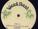 In Crowd Marcus Garvey Back In Town JA 12 Listen