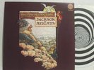 JACKSON HEIGHTS Ragamuffin Fool UK LP Vertigo SWIRL