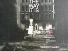 The Way It Is LP Vincent Gallo NO RESERVE