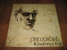 Primordial - Journey`s End LP