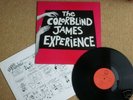 COLORBLIND JAMES EXPERIENCE - 1987 LP ON FUNDAMENTAL