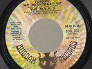 Northern Soul 45 M.V.P.S Turnin’ My Heartbeat Up BUDDAH