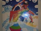 Black Dice / Animal Collective wastered LP mint