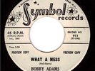 Rare Northern - Bobby Adams - What a Mess - EX - DJ