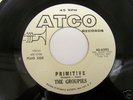 Rare Garage 45 The Groupies on Atco Hear It