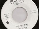 LISTEN - THE RAVEN - CALAMITY JANE - FLORIDA MOD GARAGE
