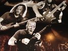 METALLICA Fully Signed 4 Excellent Autograph Poster COA