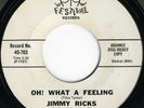 JIMMY RICKS Oh What a Feeling NORTHERN SOUL 45 listen