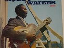 MUDDY WATERS AT NEWPORT 1960 LP FIRST PRESS Great Shape
