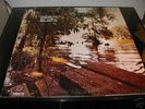 rare 2 LP Set: Swamp Blues org. on Blue Horizon