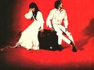 WHITE STRIPES - ELEPHANT - RARE WHITE COVER -