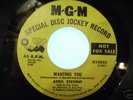 Northern Soul ORIGINAL   APRIL STEVENS     Rare Soul