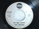 RARE NORTHERN SOUL 45-  THE TRENDS