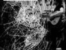 Jay Reatard 'Night of Broken Glass' EP unopened goner
