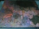 (FOLK PROG/PSYCH) WINDFLOWER  '75 US PRIVATE  SS