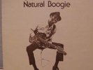 HOUND DOG TAYLOR AND THE HOUSE ROCKERS  RARE1974 BLUES