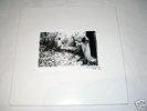 Sunn o))) WhiteBox 4LP Neurosis