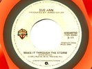 SUE ANN ROCK ME +THROUGH THE STORM WB NON-LP 45 PRINCE
