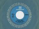 Velvet Night Metromedia MMS-110 Rare NY Psych 45