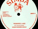 DENNIS BROWN & ASWAD - PROMISED LAND - 12