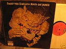 BLACK CAT BONES:Barbed wire sandwich