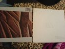 LITFIBA RARISSIMO EP 