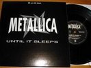 Metallica - Until it sleeps 10